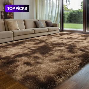 Shag Area Rugs for Bedroom Living Room,Ultra Soft Fluffy Area Rugs for Dorm, Indoor Carpet Nursery Rugs for Kids Room Home Decor